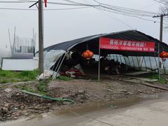 -喜杨洋草莓采摘园