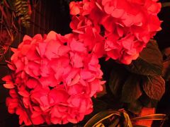 门面-胡桃里乐队酒馆(鎏嘉码头店)