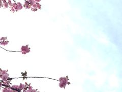 -无锡融创乐园