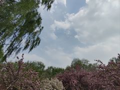 -莲花池公园