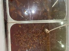 -鸿运兔·手撕烤兔(天府广场店)