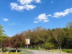 -永定河休闲森林公园