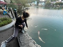 -茵特拉根酒店·西餐厅