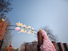 -桃花堤公园