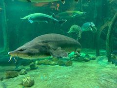 -华夏文旅海洋公园