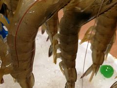 -尚海豆捞(乐虹坊店)