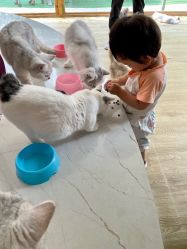 -萌宠亲子动物乐园(槐房万达店)