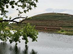 -龙坞茶村