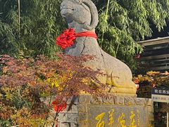 -石羊农庄