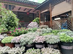 -山菌美食苑(振兴路店)