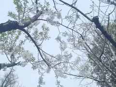 -苏州文庙(姑苏区)