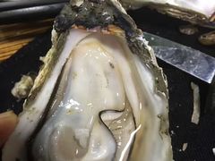 -大富蚝乌东哥饭店·石锅鱼杂·柠檬鸭(革新路店)