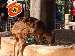 -昆明动物园