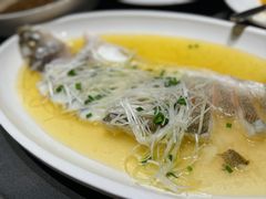-沈灶河豚宴·河豚融合餐厅(汉中路店)