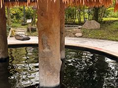 -中铁花水湾温泉酒店(大邑店)