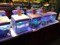 -花家怡园(四合院总店)