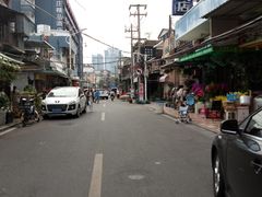 -溪岸路花鸟市场