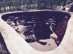 -南宫温泉水世界