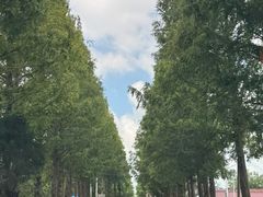 -妈妈的小作坊(陈家镇店)