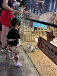 -酷嗒动物文化乐园(cutezoo西溪乐天城店)