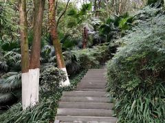 -重庆彩云湖湿地公园