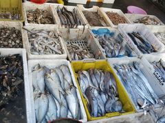 -芦潮港集贸市场