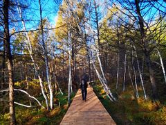 -洮儿河国家湿地公园