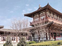 -西安青龙寺遗址景区