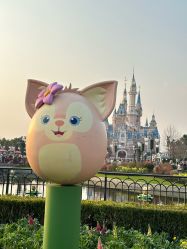 -翱翔飞越地平线