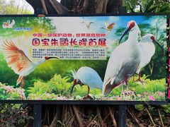 -广州长隆飞鸟乐园