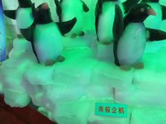 -徐州乐园加勒比水世界