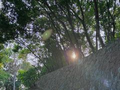 -小南山公园