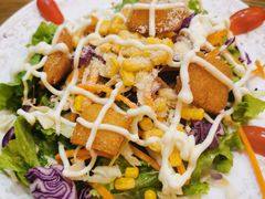 蔬菜芝士沙拉-食彩美印度特色美食餐厅·印度料理