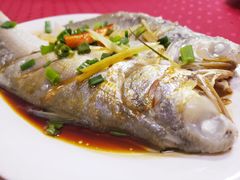 -蛇口康乐快餐鱼仔档(翠苑小区店)