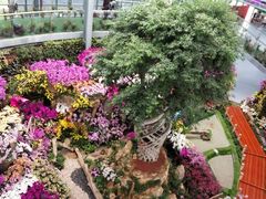 -南通洲际绿博园