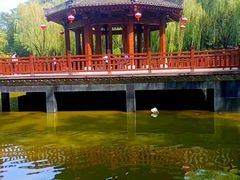 -西安市长乐公园