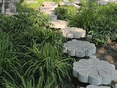 -黑龙江省森林植物园