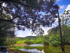 -马峦山郊野公园