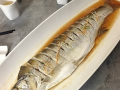 清蒸白丝鱼-金典银峰老鹅馆·昆山菜(亭林公园店)