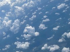 -芍药居北里