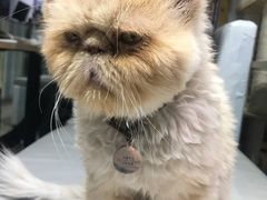 -小时光咖啡馆(开森度假森林店)