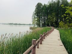 -东湖落雁景区
