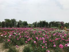 -尚贤河湿地
