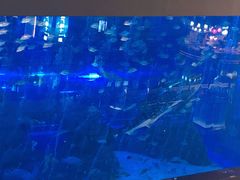 -成都浩海立方海洋公园