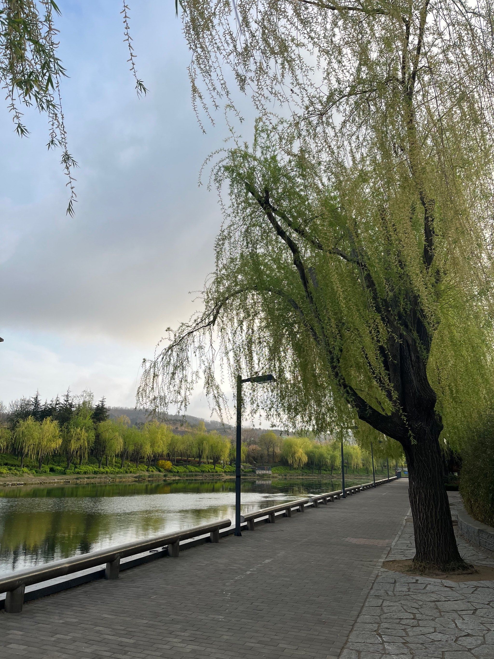 生机盎然的春天