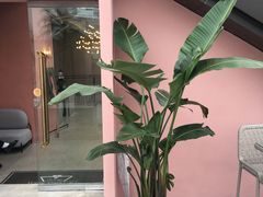 -三间愈舍·Triple Spa(重庆IFS国金中心店)