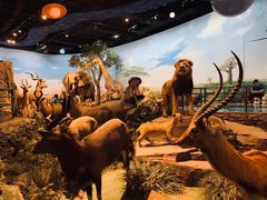 -陕西自然博物馆