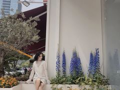 -美丽心情(奥体店)