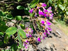 -碓臼峪自然风景区