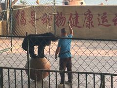 -东方熊牧场